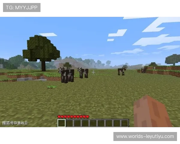 乐鱼官方游戏种类丰富多样满足不同玩家的多样化需求