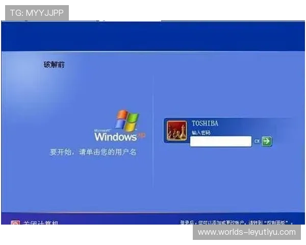 乐鱼网站登录入口即玩，确保账号安全的登录方法与常见问题解决方案